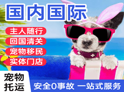 大连周水子航空邮寄国际宠物托运 【国